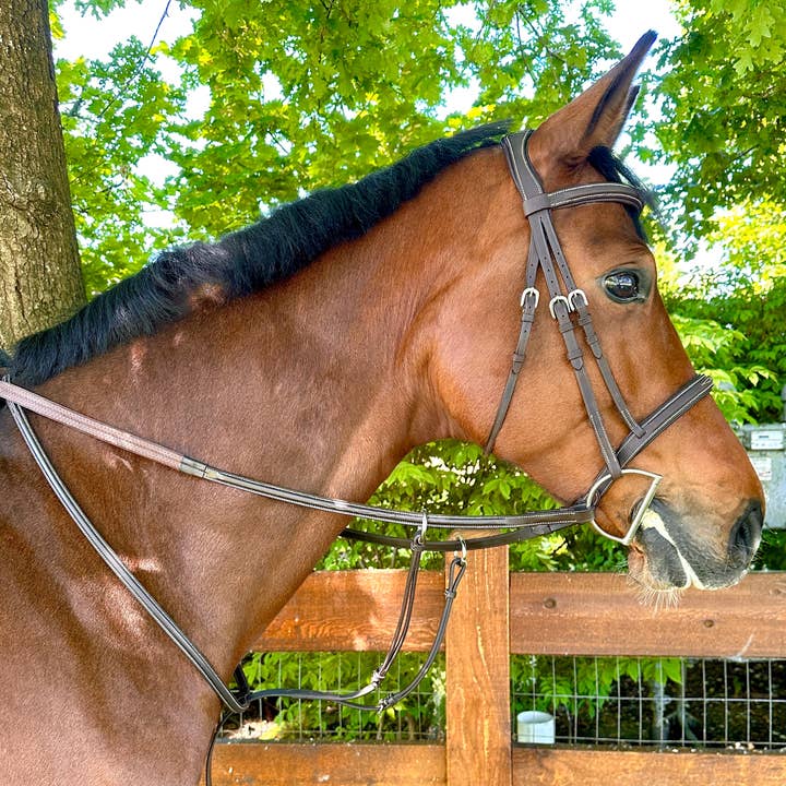 Wesley Fancy Stitch Running Martingale with Open Rings for wholesale by The Blissful Equestrian