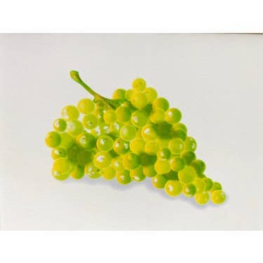 Studio Daedre - Wholesale Stationery/Notecard Set - Green Grapes - Boxed Note Cards0