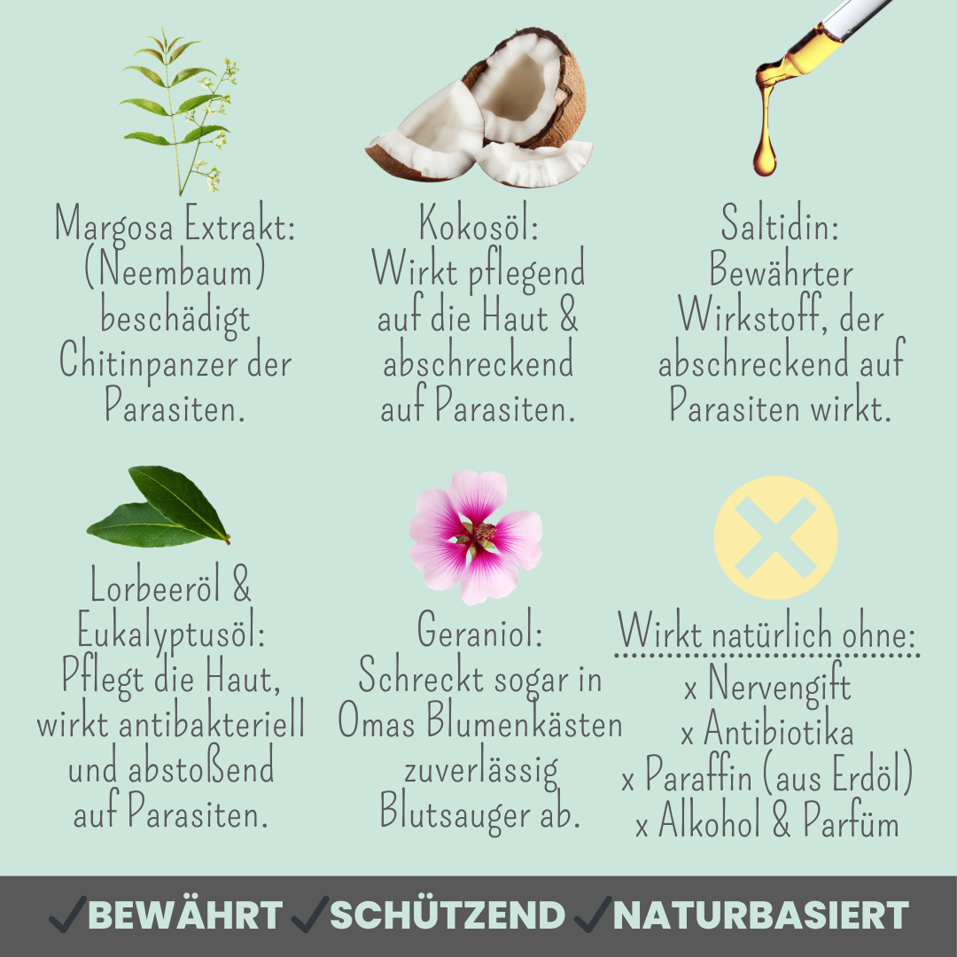 Noms+ - Wholesale Pet Spray - Dog - Zspray for dogs against ticks, fleas, mites & mosquitoes3