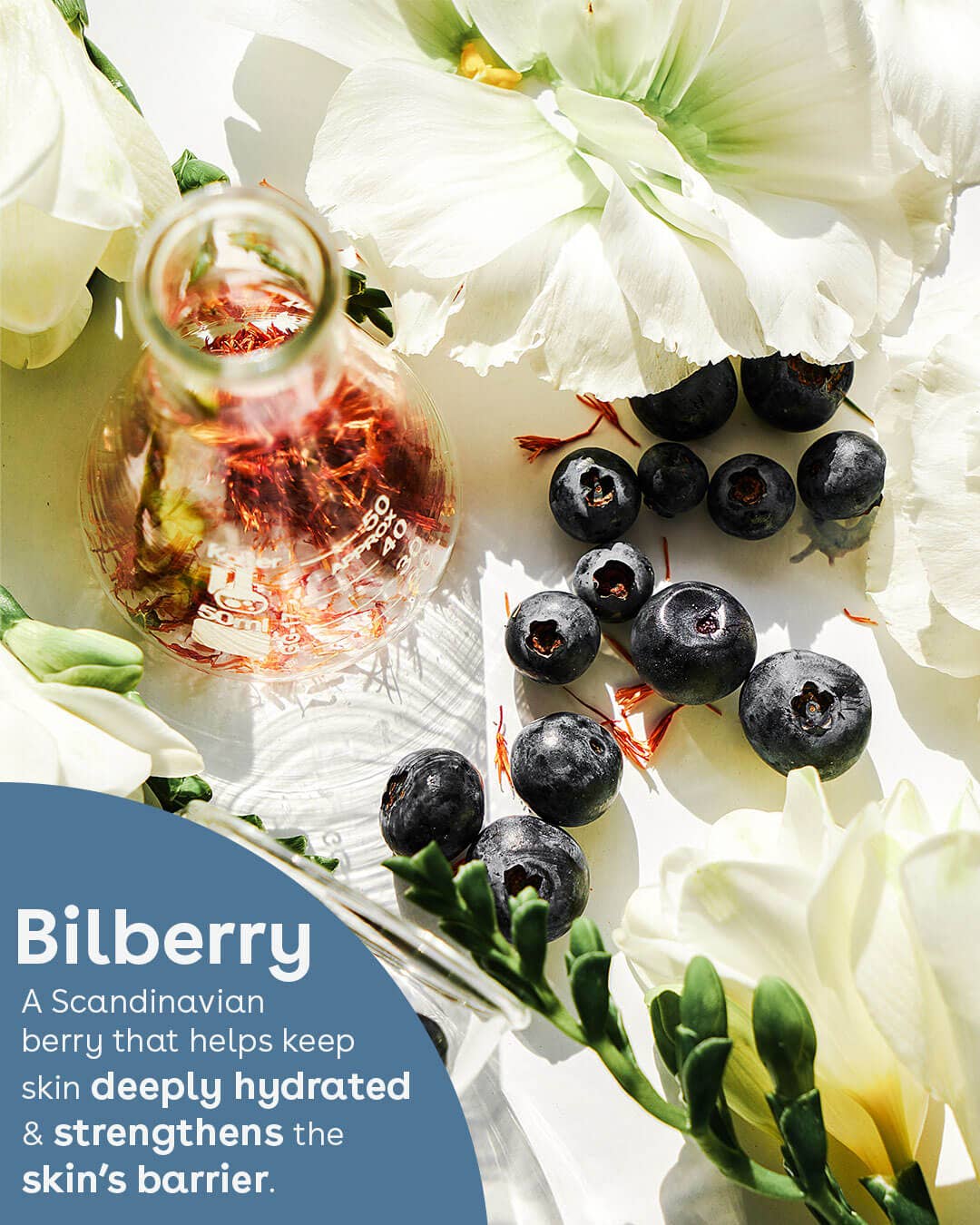 Nuria - Wholesale Night Cream - Hydrate Revitalizing Jelly Night Treatment8