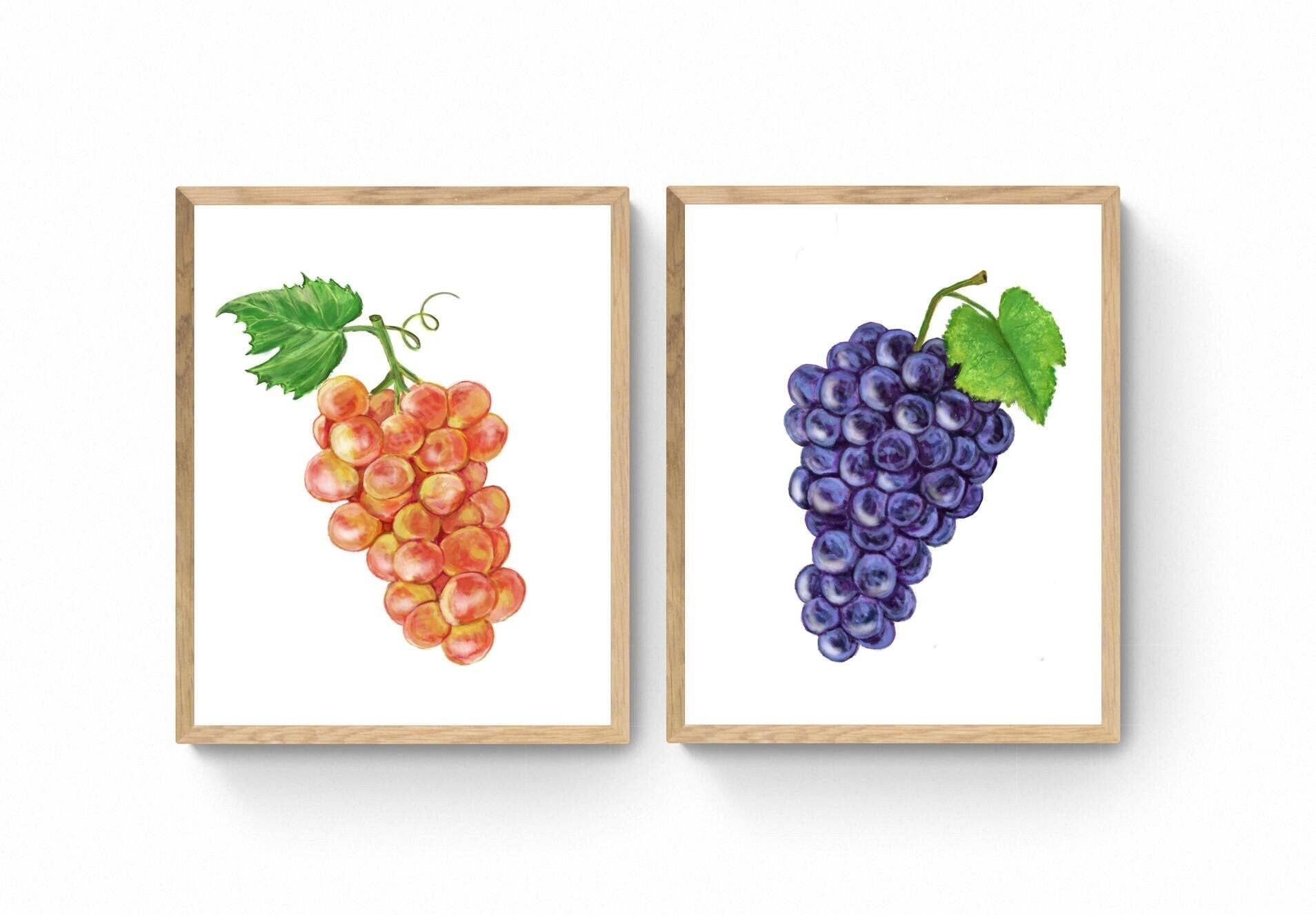 MerikaArt - Wholesale Art Print - Pink and Black Muscat Grape Art Print, Wine Art, Kitchen Wall Painting, Dining Room Decor, Fruit Illustration, Farmhouse Wall Decor1