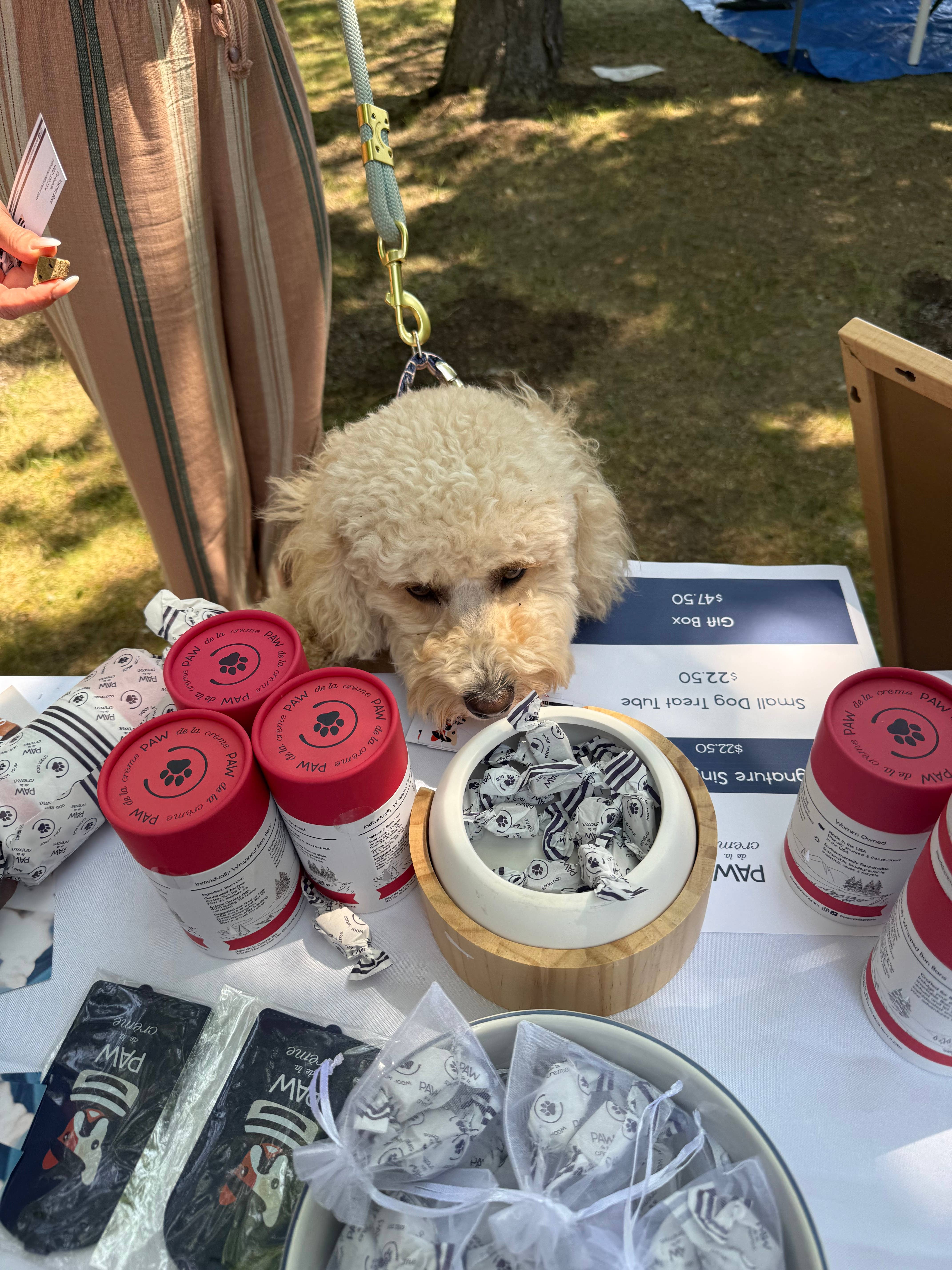 Paw de la Creme - Wholesale Pet Treats - Dog - Loose Bon Bon Singles - Freeze-Dried Bison Liver6