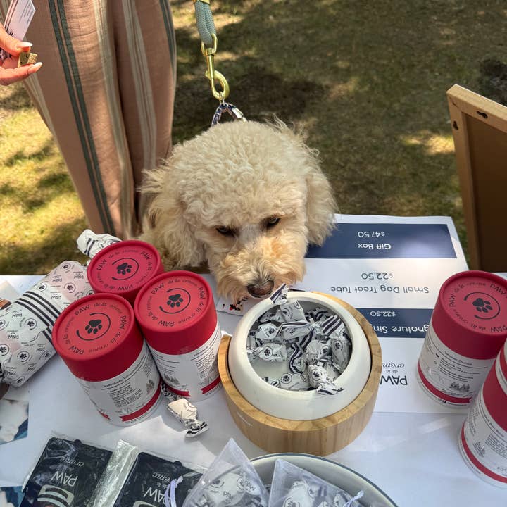 Paw de la Creme - Wholesale Pet Treats - Dog - Loose Bon Bon Singles - Freeze-Dried Bison Liver6