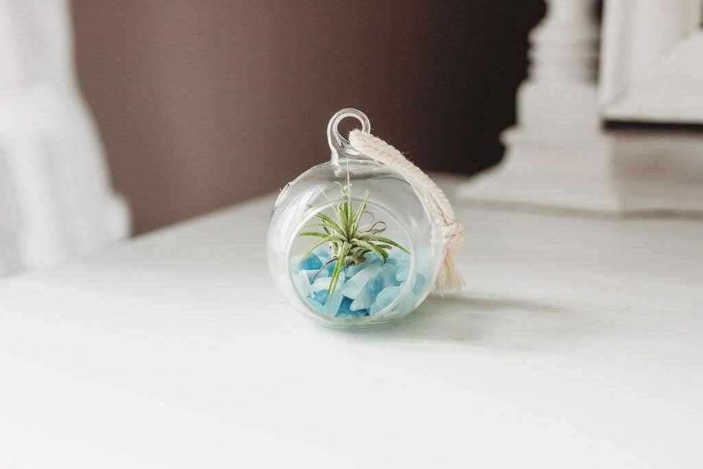 The Simply Crafty Shop - Wholesale Terrarium - Mini Orb Air Plant Terrarium Kit - Semi-Precious Stone45