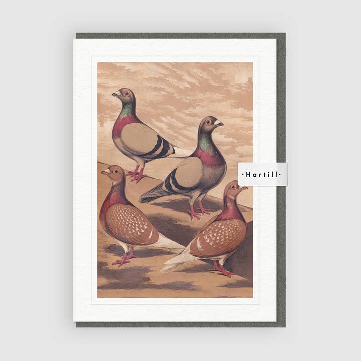 Kunst-Grußkarte Brieftauben von J. W. Ludlow für den Großhandel von Hartill