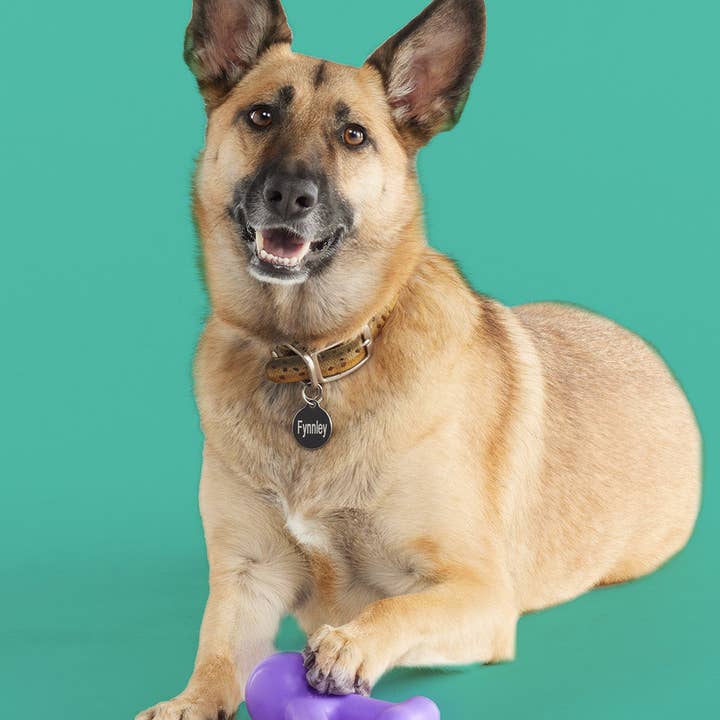 Yomp - Wholesale Pet Chew Toy - Dog - Yomp FunnyBone: Silicone Chew Toy for Dogs