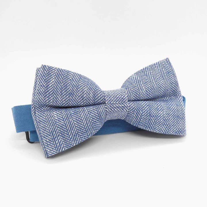 Herrera Valera – Engroshandel Butterfly – Mænd – Blå chevron butterfly - Battoir1