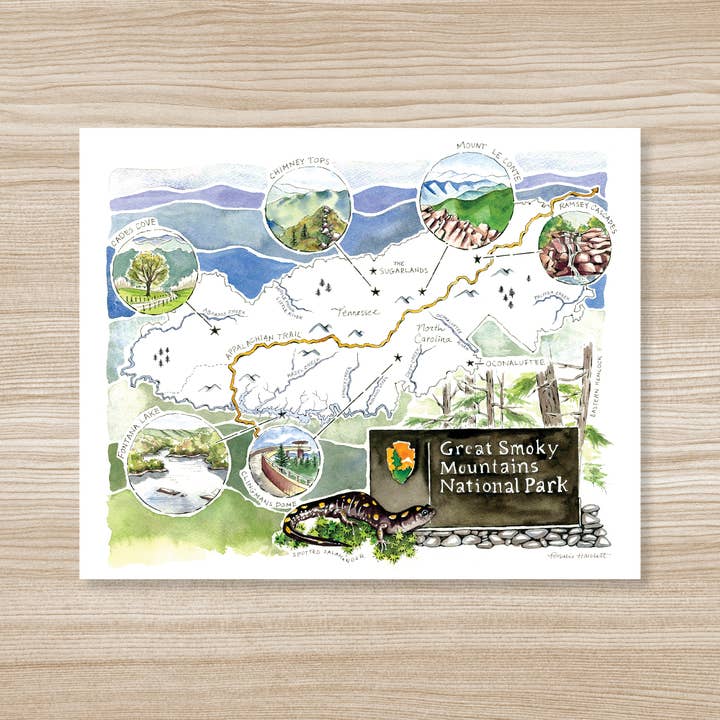 Great Smoky Mountains National Park - Illustrated Map Print for wholesale by Rosalie Haizlett Illustration