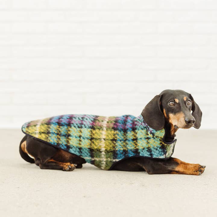 Dachshund Couture - Wholesale Pet Coat - Dog - Dachshund coat Chagall tartan