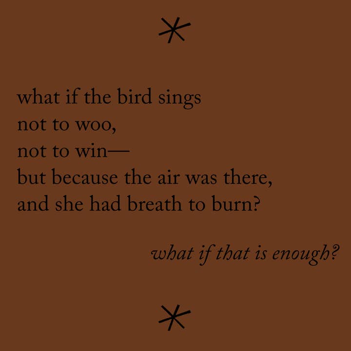 Bottlecap Press - Wholesale Book - Adult - soft-skinned, by Waverly Vernon1