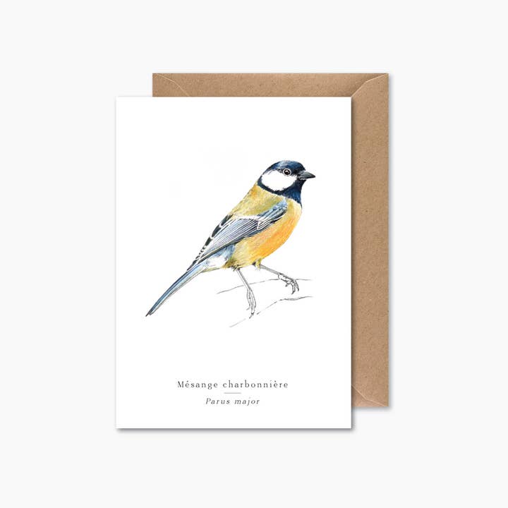 Papier Mirage - Wholesale Everyday Greeting Card - Great tit