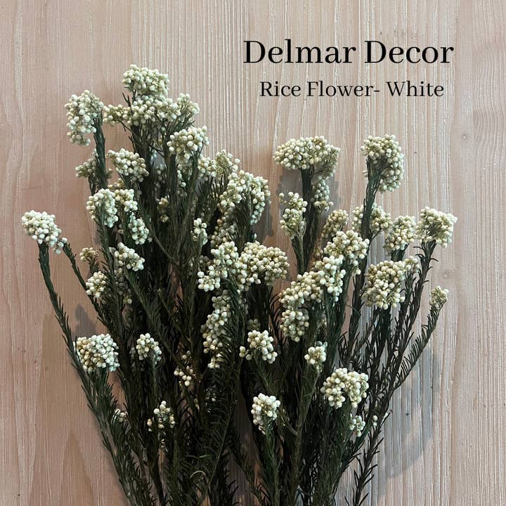 Rice Flower Bunch - 3oz for wholesale by Delmar Decor