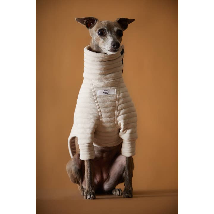 The Striped Dog – Großhandel Haustier-Pullover – Hund – Gesteifter Rollkragenpullover in Sand mit italienischem Windhund- / Whippet-Motiv PROVENCE2
