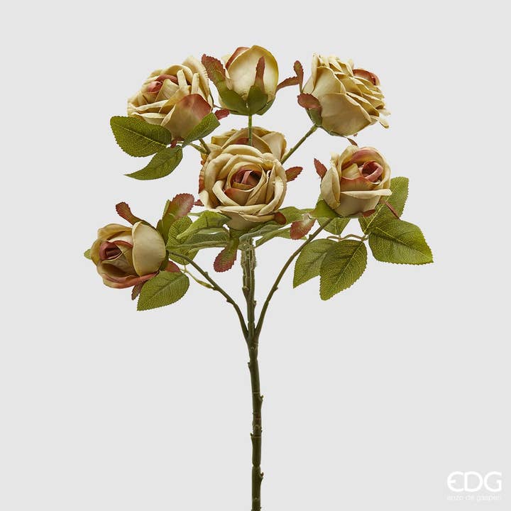 ROSA EPOQUE CESP.X7 für den Großhandel von edg
