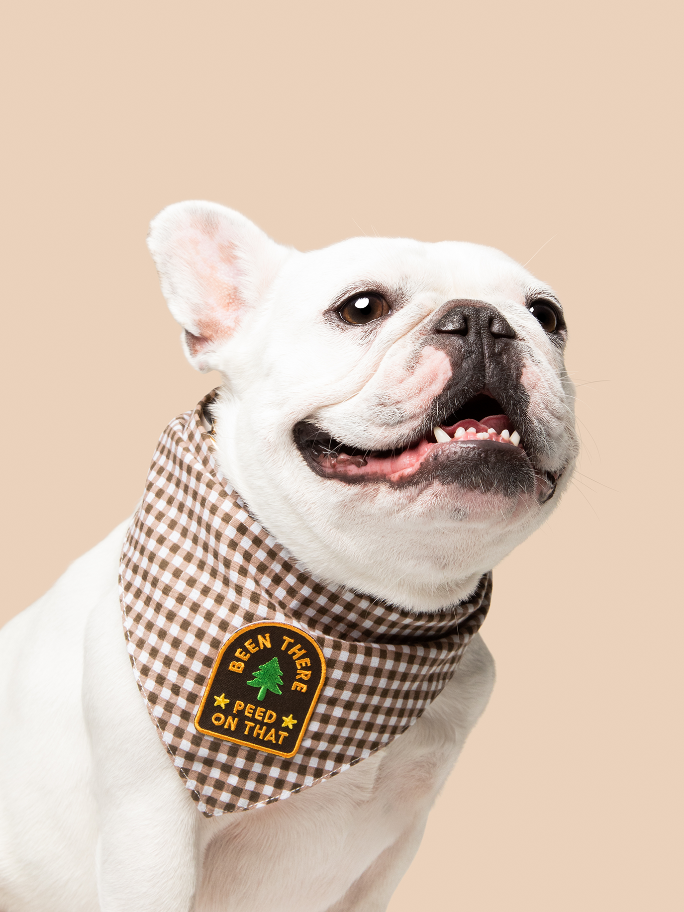 Scout's Honour Pty Ltd - Wholesale Pet Bandana - Dog - Been There Peed on That iron-on patch for dogs and cats1