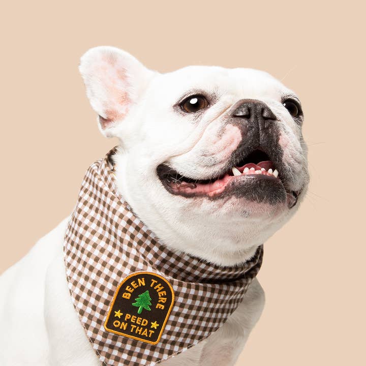 Scout's Honour Pty Ltd - Wholesale Pet Bandana - Dog - Been There Peed on That iron-on patch for dogs and cats1