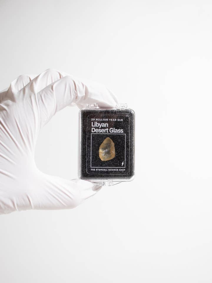 Libyan Desert Glass for wholesale by Stemcell Science Shop