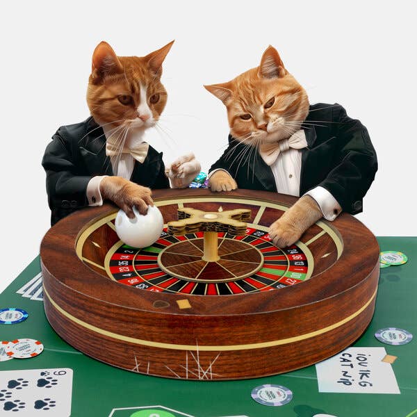 Cat Casino for wholesale by SUCK UK Ltd - USA