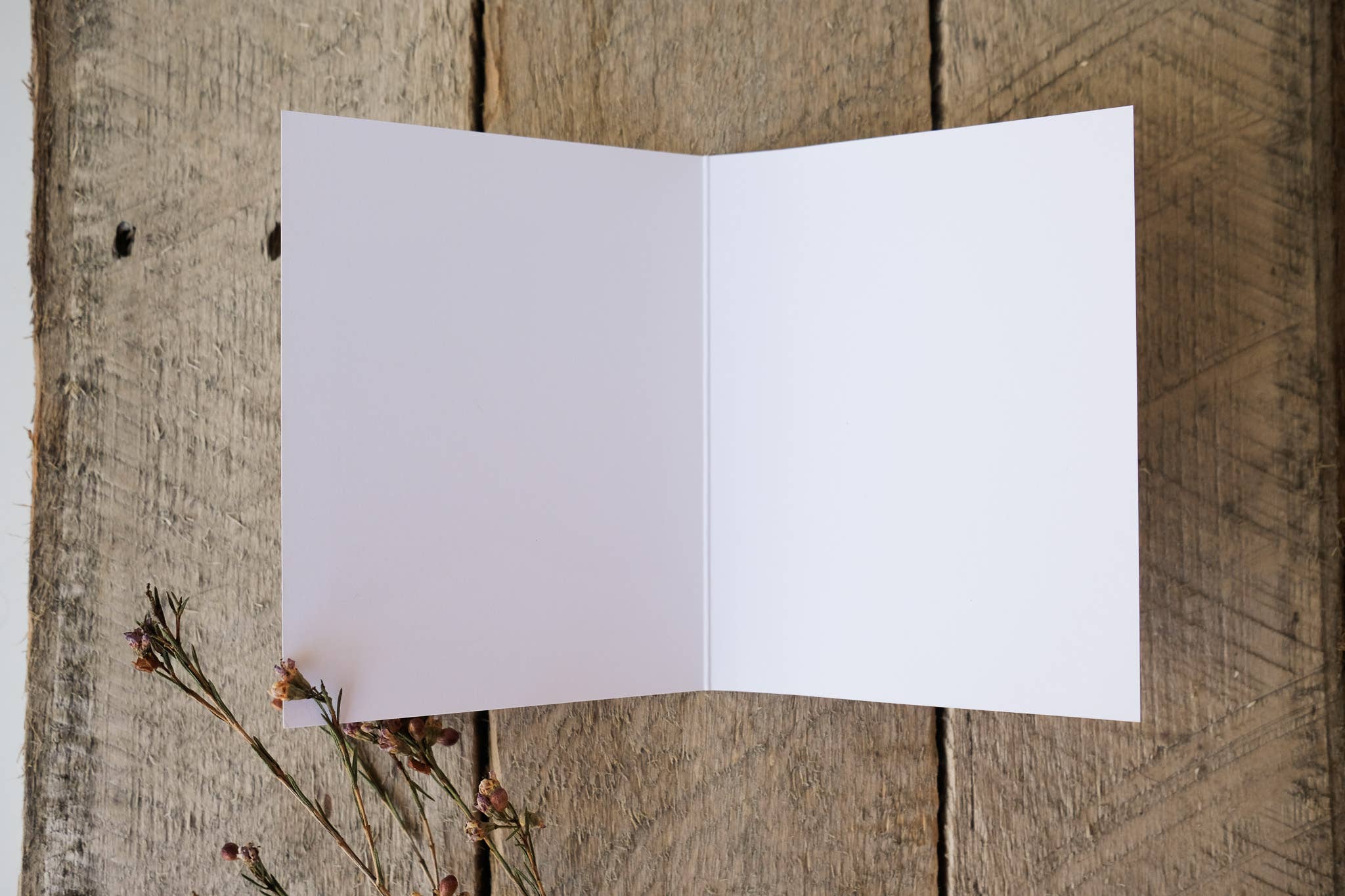 Evi Studio - Wholesale Everyday Greeting Card - Lake Tahoe Rainbow Elevations Blank Card1