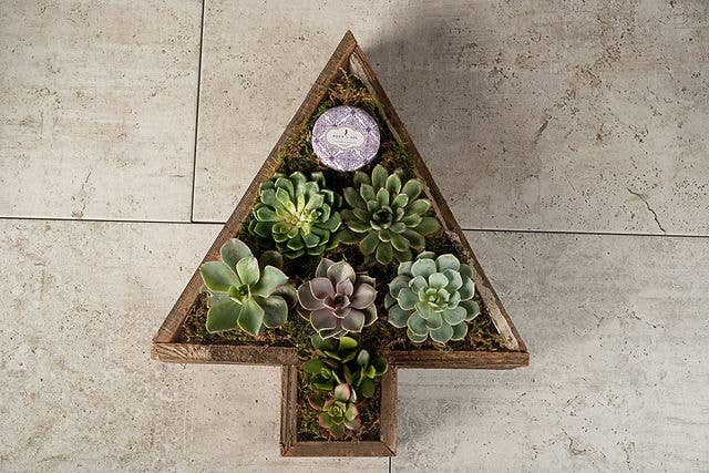 Love Reclaimed - Wholesale Planter Box - Christmas Tree Rustic Reclaimed Wood Planter / Tray 3