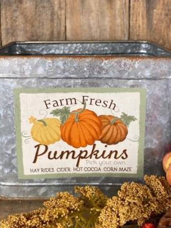 Farm Fresh Pumpkins Container for wholesale by DNS Designs