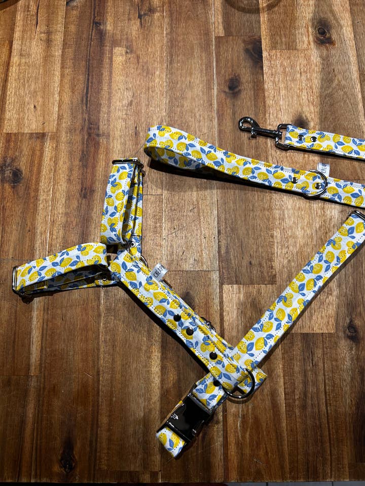 Lemon harness for wholesale by CréaPimk