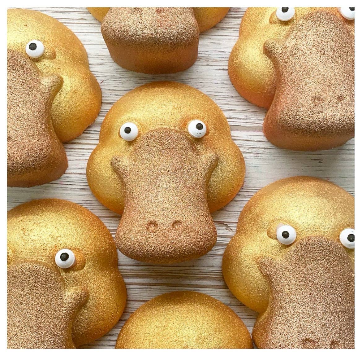 Fizz Soakery - Wholesale Bath Bomb/Fizz - Platypus bath bomb0