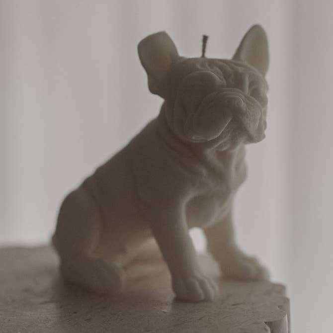 Vela Bulldog francesa para venta al por mayor de La Mèche