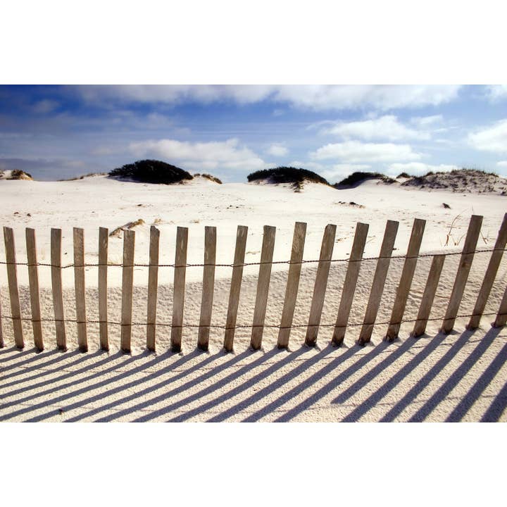 acrylic painting - Alena for wholesale by Queence