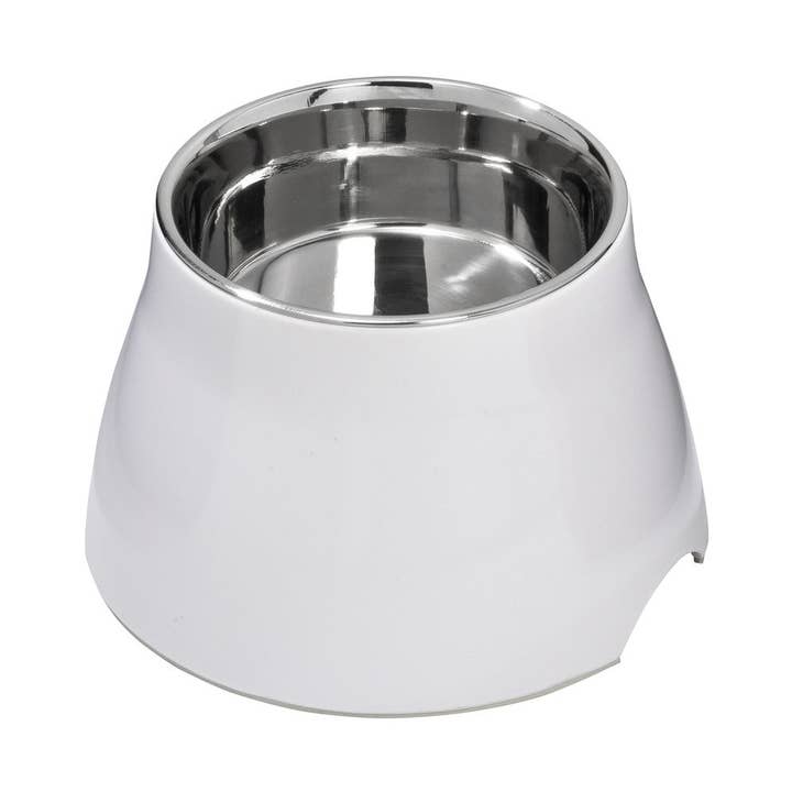 Schale mit aufgezogenem Tiermotiv - Splash - Bobby für den Großhandel von Bobby Canifrance