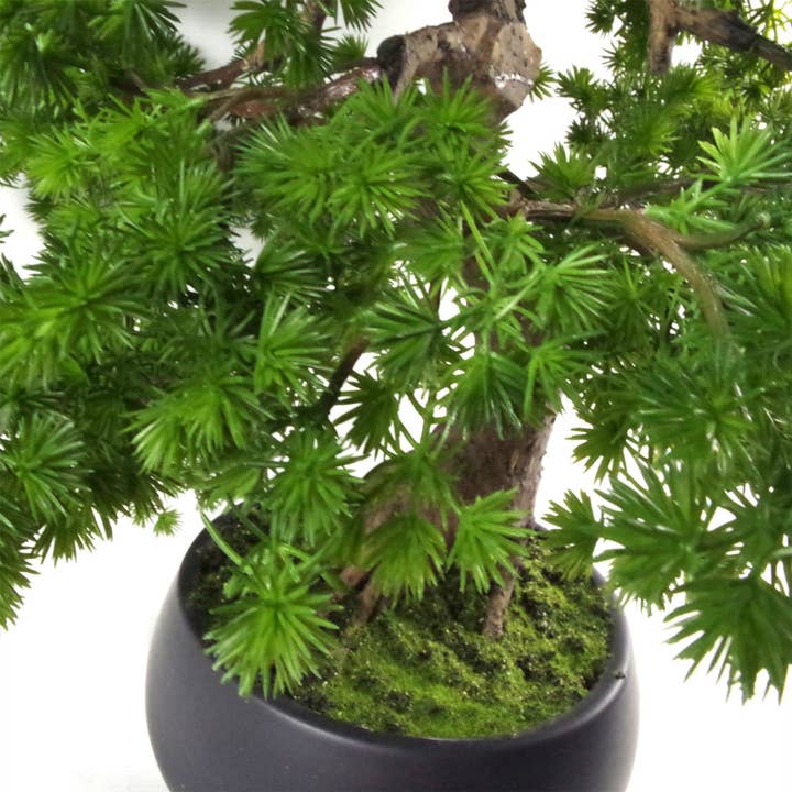 Leaf Design UK LTD - Wholesale Artificial Plant - Artificial Bonsai Tree Pine Bonsai 50cm UK Trees Plant3