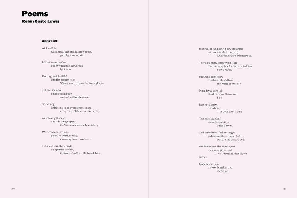 W. W. Norton - Wholesale Arts & Entertainment - When We See Us: A Century of Black Figuration in Painting11