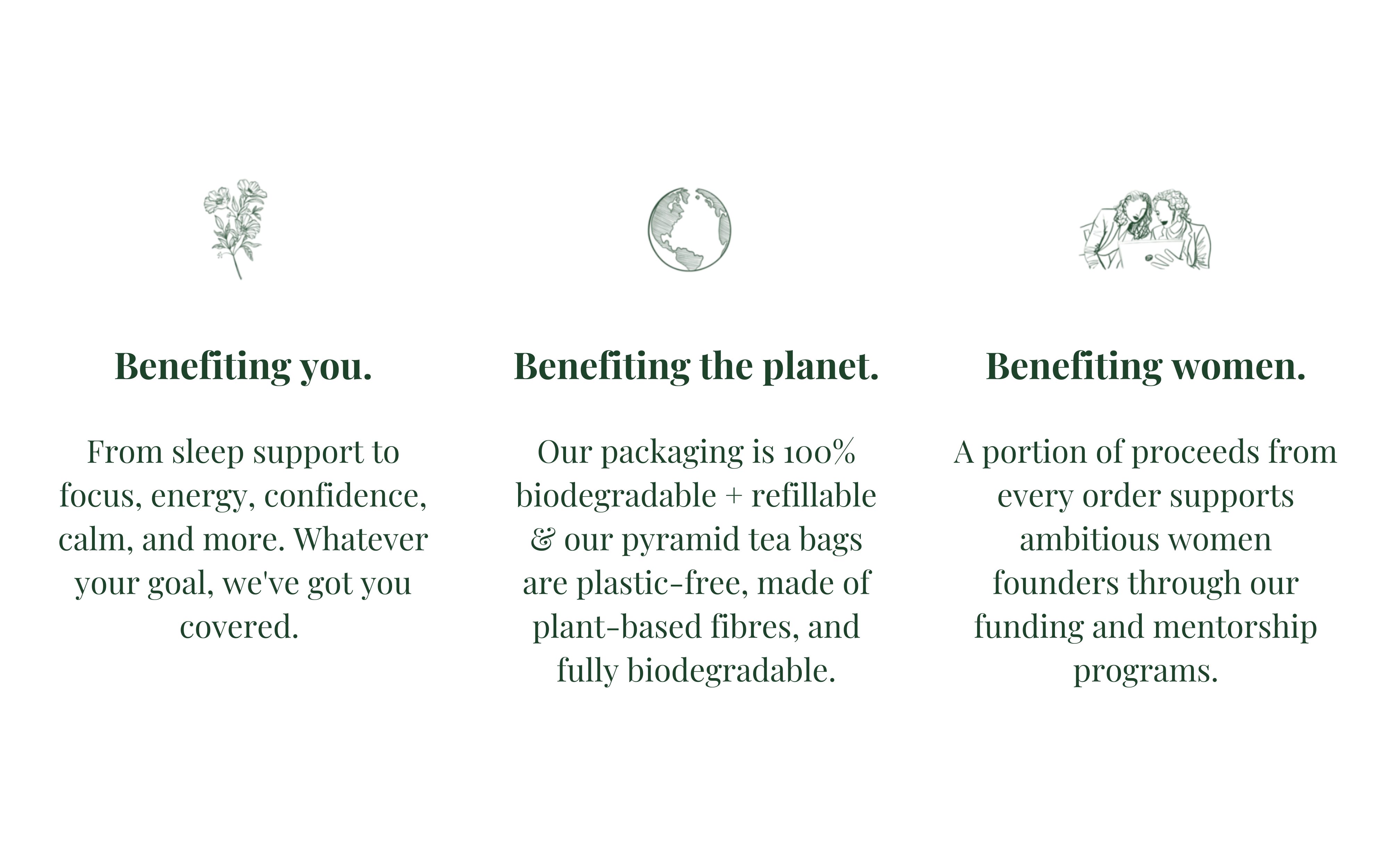 Tease | Wellness Tea Blends + Accessories - Wholesale Tea Bags - Duchess of Earl | Creamy Earl Grey Black Tea For Energy5