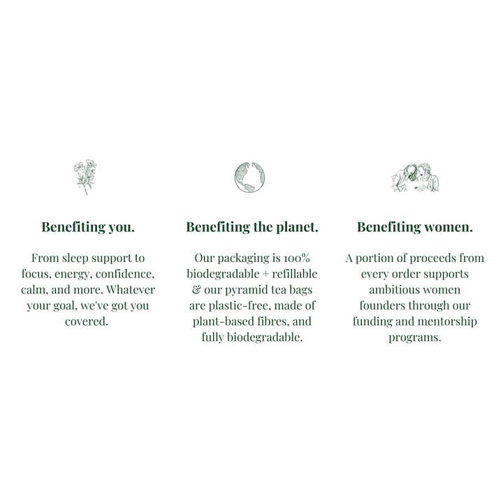 Tease | Wellness Tea Blends + Accessories - Wholesale Tea Bags - Duchess of Earl | Creamy Earl Grey Black Tea For Energy5