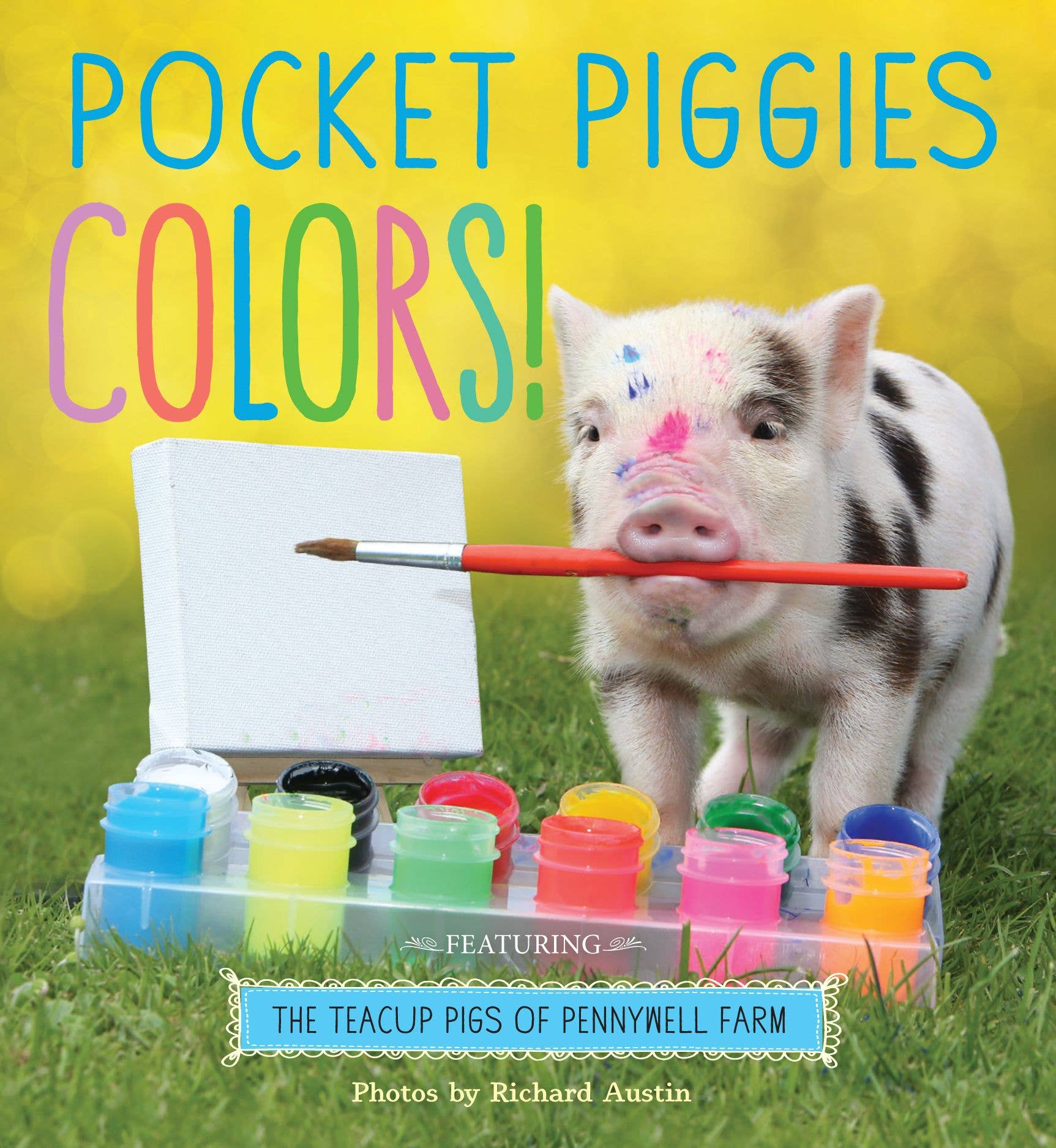 Hachette Book Group - Wholesale Baby & Toddler Book (0-2) - Pocket Piggies Colors!0