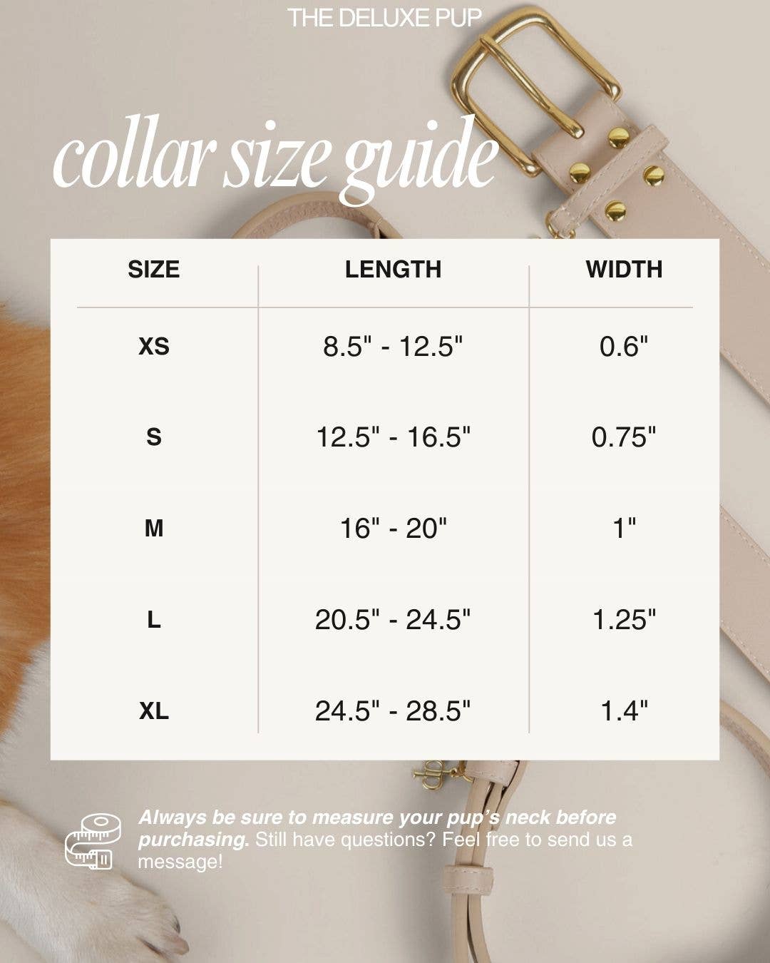The Deluxe Pup - Vendita all'ingrosso Collare - Cani - Collare premium per cani Biscoff Beverly4