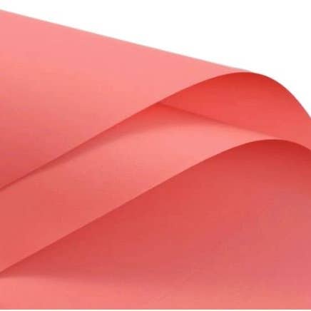 Elegant Design Supply - Wholesale Wrapping Paper Roll - Solid Color Korean Inspired Flower Wrapping Paper (20pcs/bag)45