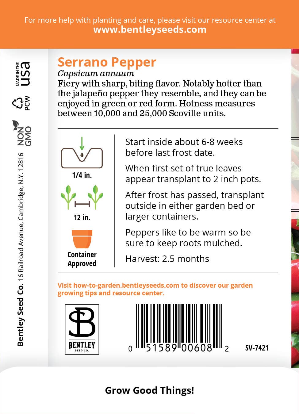 Bentley Seed Co. - Wholesale Plant Seeds - Pepper, Serrano Seed Packets1