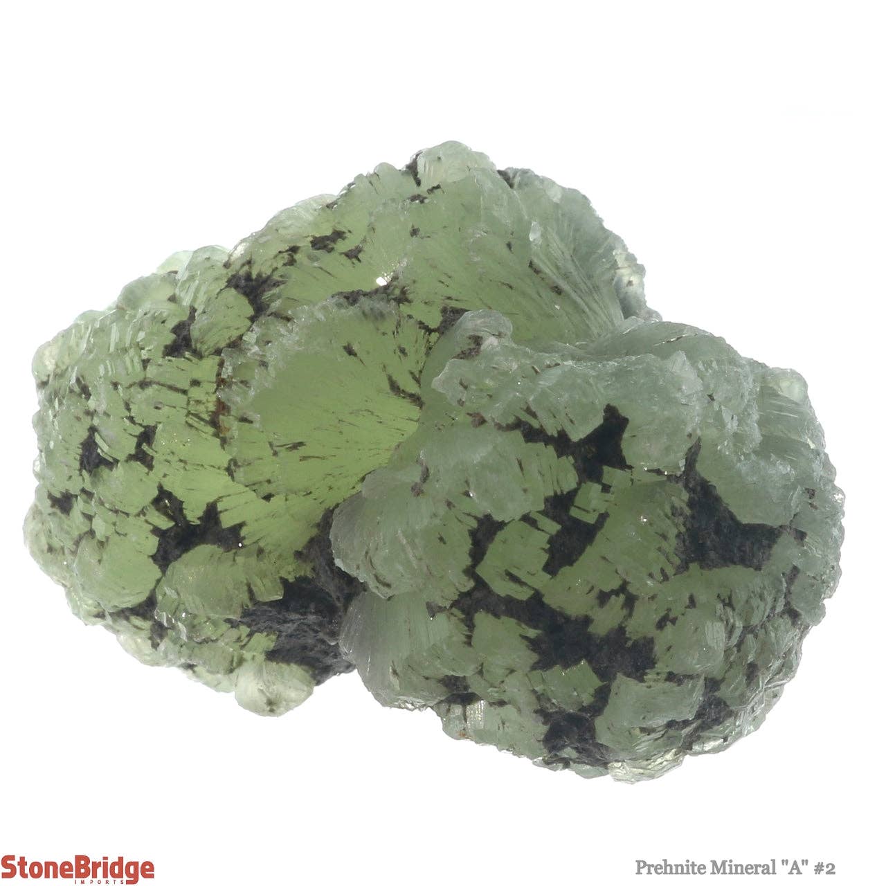 Stonebridge Imports - Vendita all'ingrosso Pietra/cristallo spirituale - Prehnite A Mineral #2 - da 12 g a 20 g5