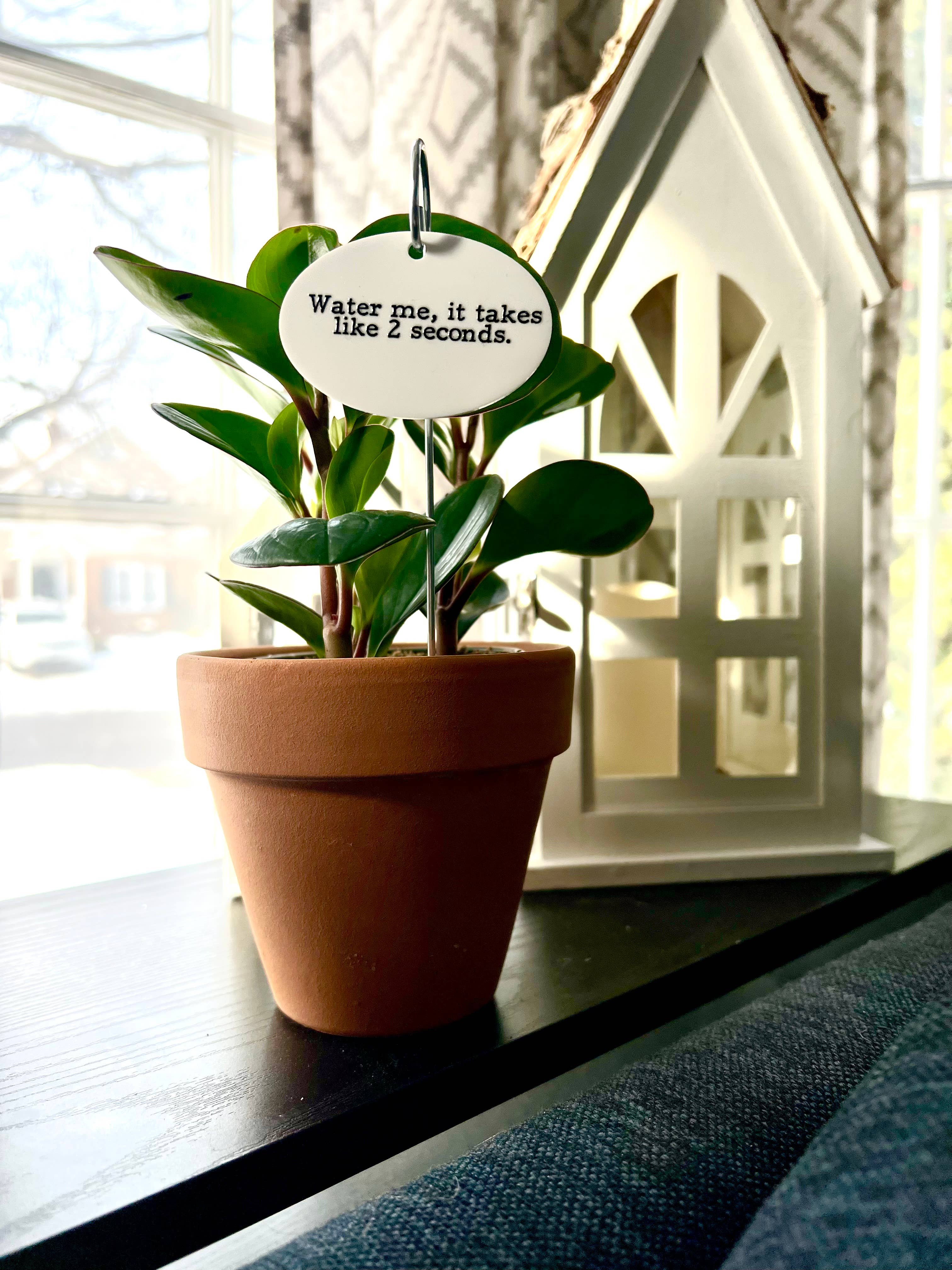 Buffalovely - Wholesale Garden/Lawn Stake - Water Me, It Takes Like 2 Seconds Flower Pot Plant Stake1