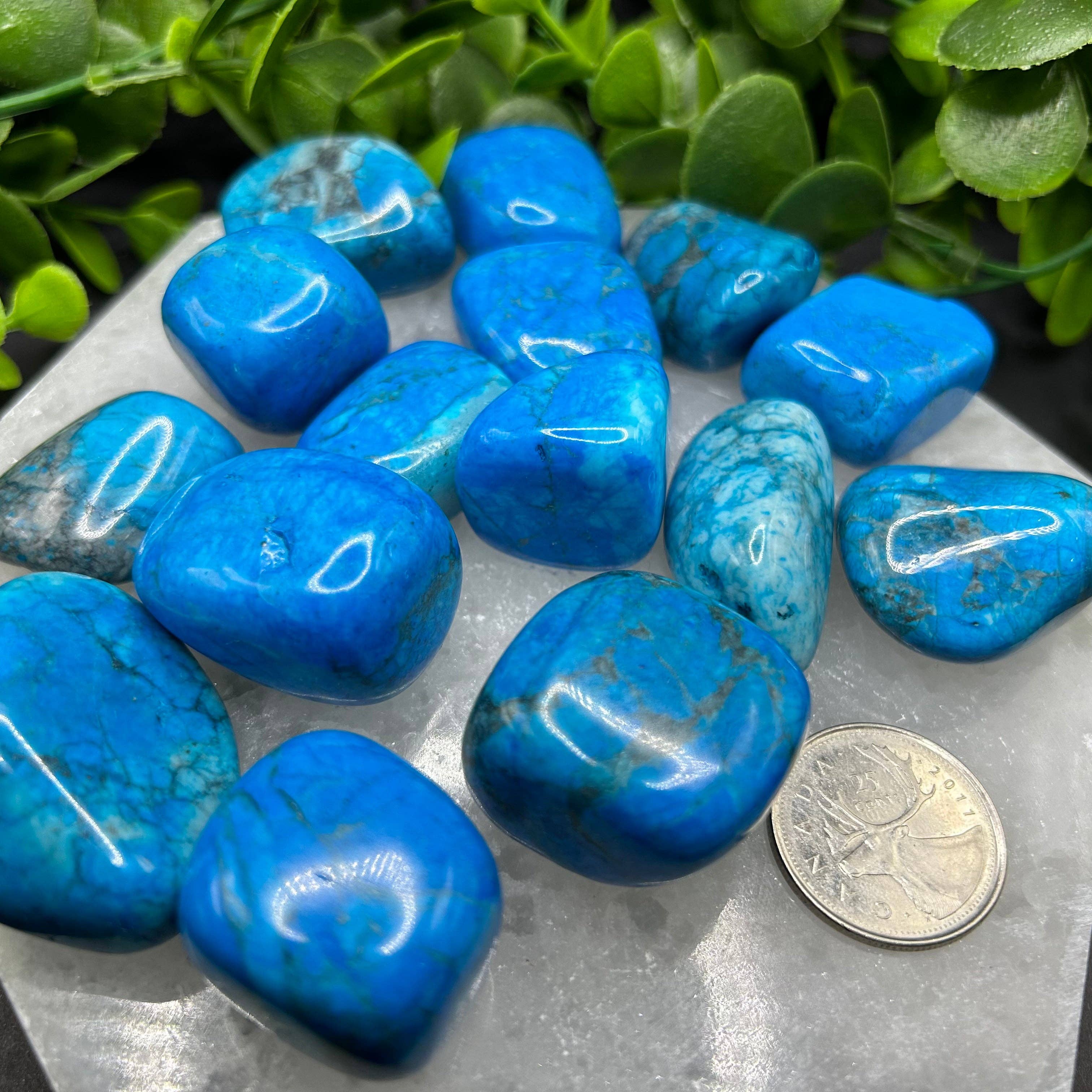 Moonbeam Healing - Wholesale Spiritual Stone/Crystal - Turquoise Howlite Tumbled Stone (M-L)3