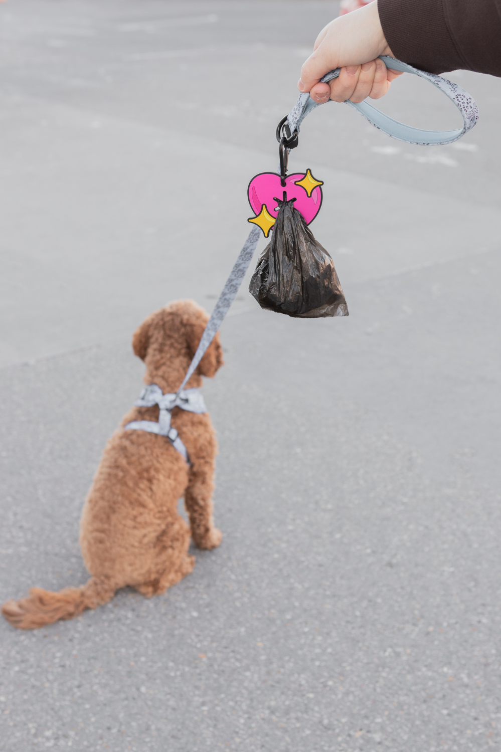 Woof & Wonder - Vendita all'ingrosso Dispenser di sacchetti per la cacca - Porta sacchetti usati per rifiuti canini Poopy Loop® a forma di cuore scintillante1