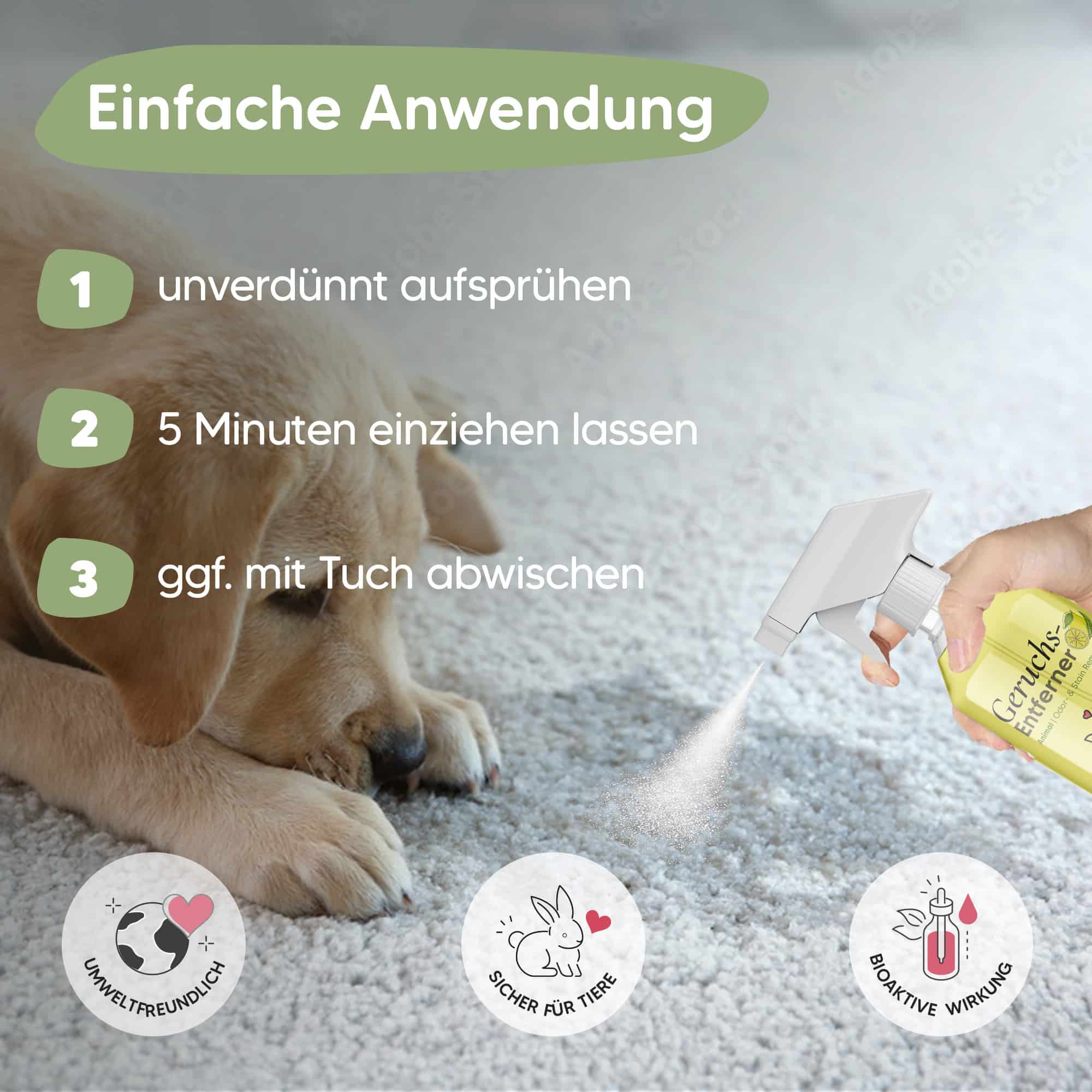 Pawlie's - Wholesale Pet Deodorizing Spray - Animal odour remover & enzyme cleaner - cat urine & pet smell4