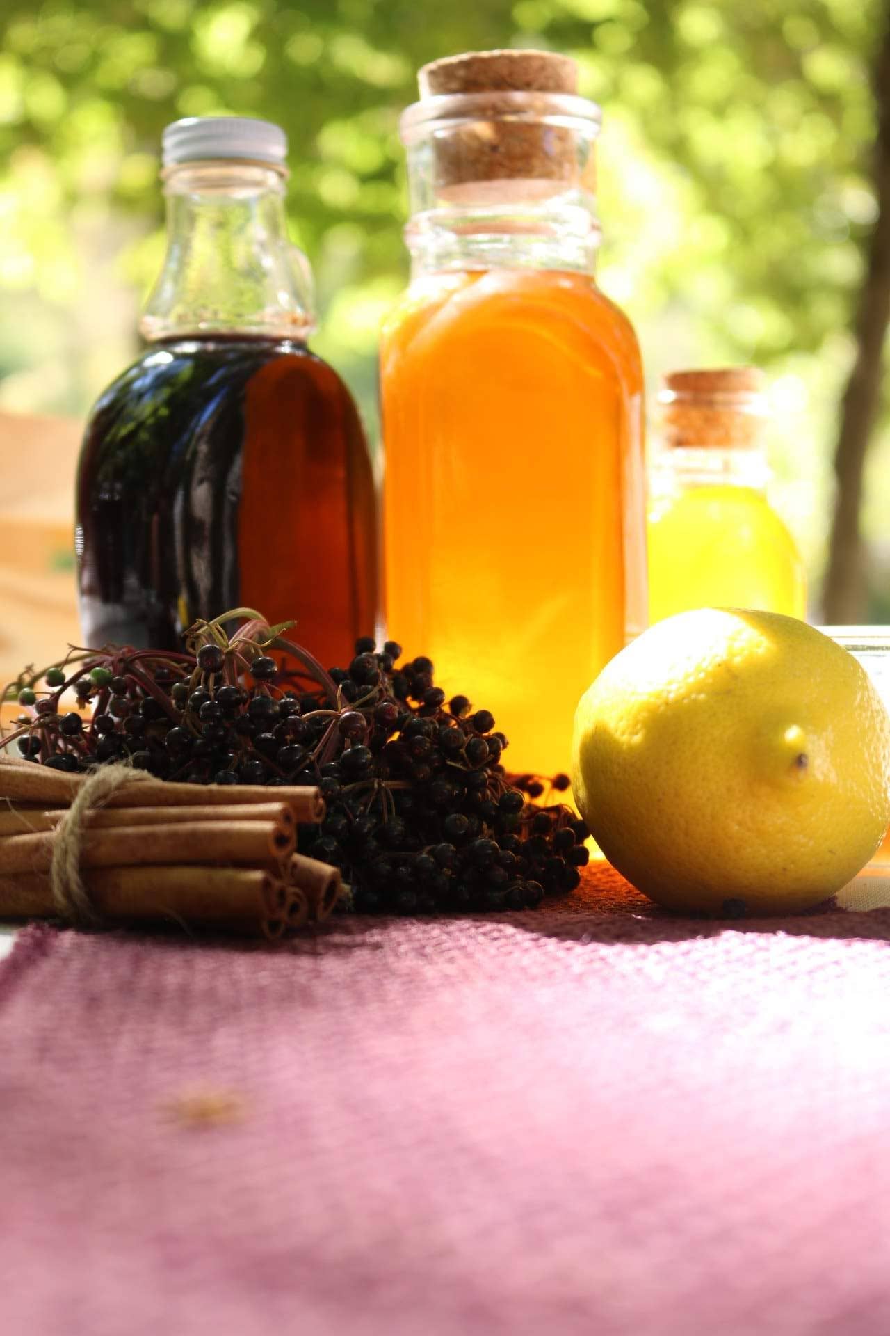 Elderberry Family Farms - Wholesale Wellness Juice/Tonic - Elderberry Honey Syrup - 12 oz.1