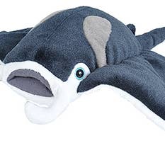 CK Manta Ray for wholesale by Wild Republic