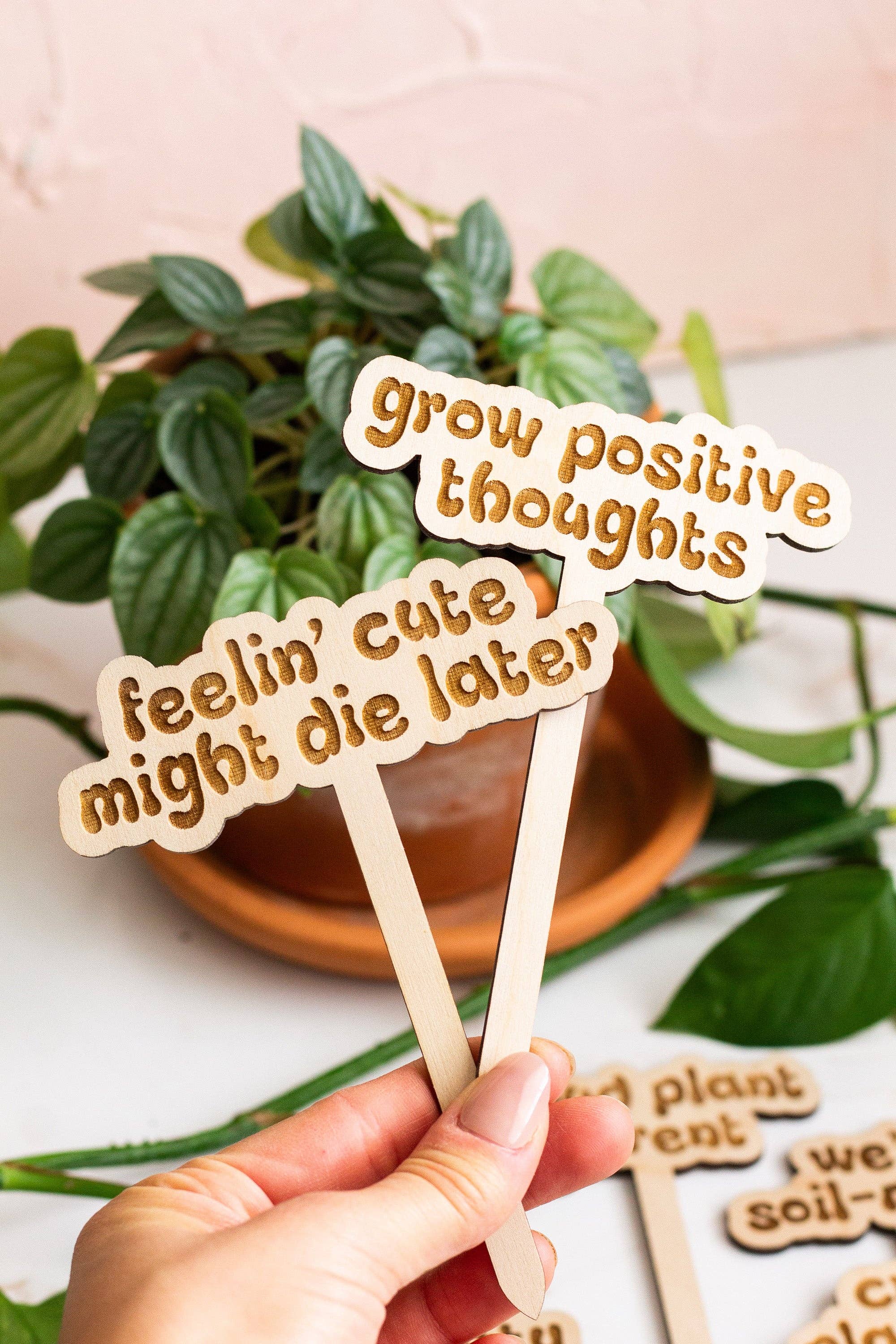 The Print Pantry - Wholesale Garden/Lawn Stake - Retro Funny Wooden Plant Markers8