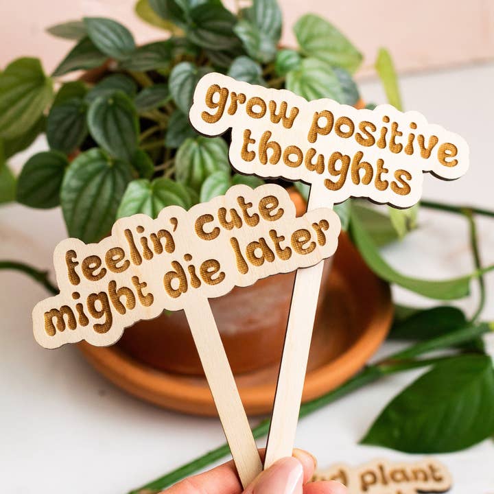 The Print Pantry - Wholesale Garden/Lawn Stake - Retro Funny Wooden Plant Markers8