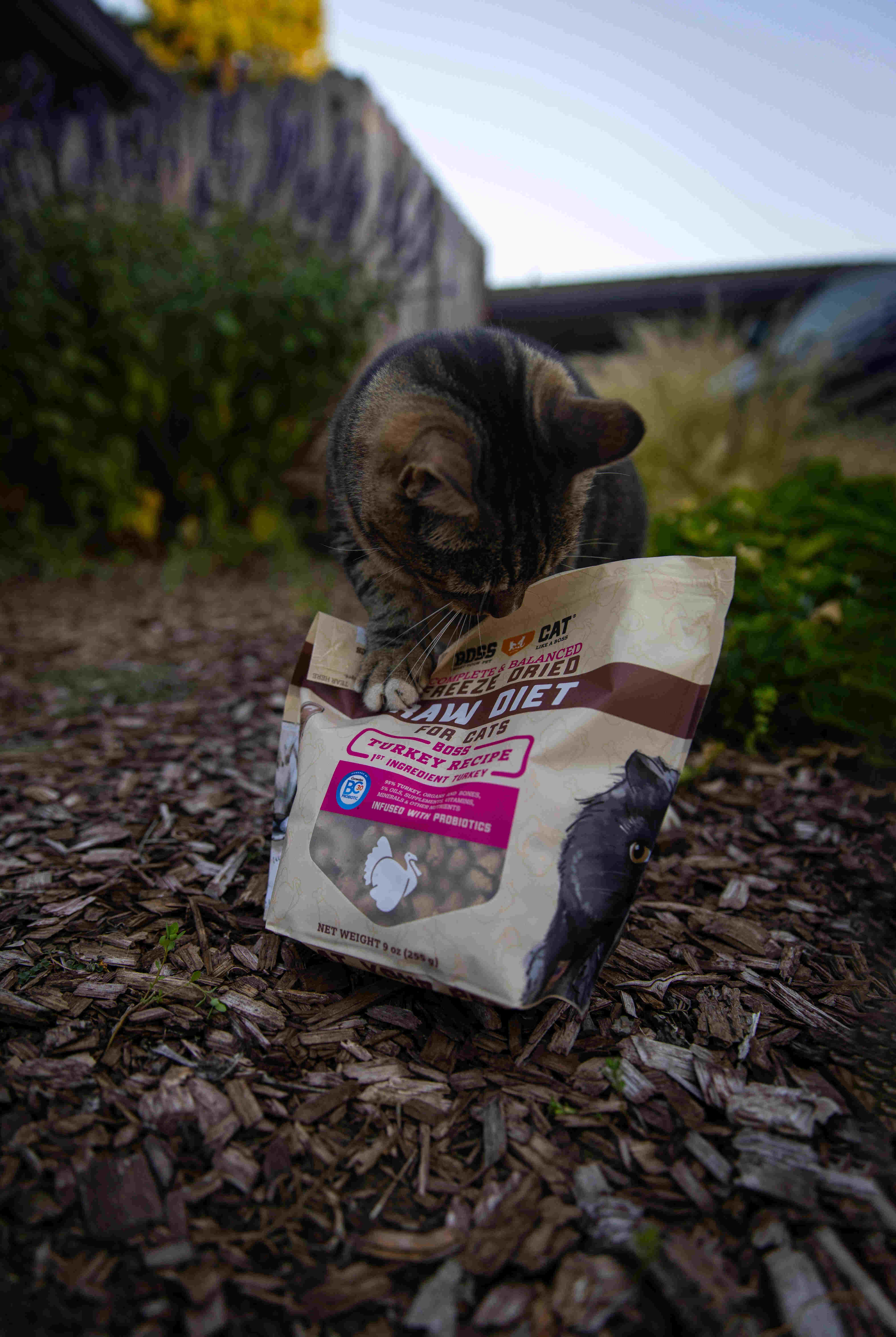 BOSS DOG BRAND, INC. - Wholesale Pet Food - Cat - Boss Cat Freeze Dried Raw Diet - Turkey (9oz)1