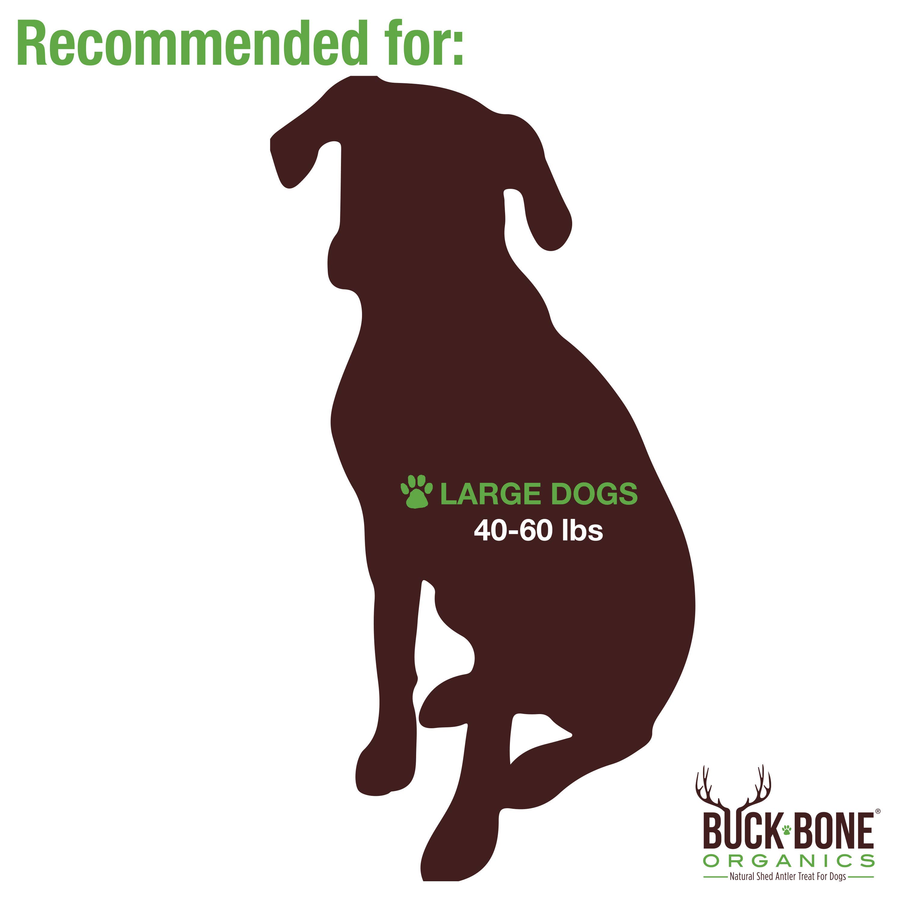 Buck Bone Organics - Vente Jouet à mâcher – chien - Jouet à mâcher en bois de bois d'élan Grand3
