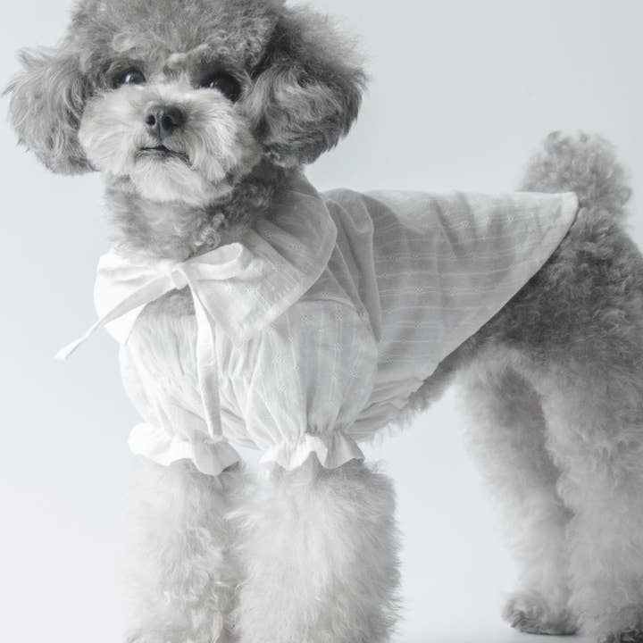 The Cloud Blouse for wholesale by SunnyPawShop